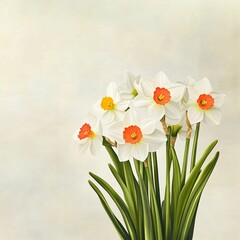 Obraz premium Fresh White Daffodils with Bright Orange Centers in Peaceful Setting