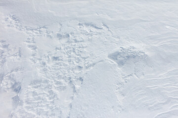 A snow covered ground with tracks in the snow