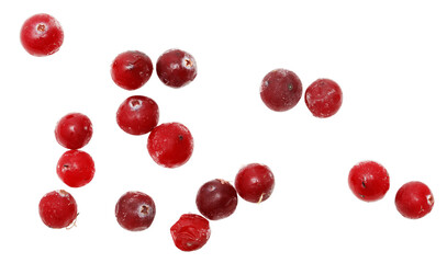 A bunch of red berries are scattered across a white background