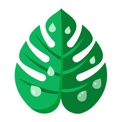 leaf vector illustration