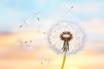 Whispers in the Wind, Dandelions