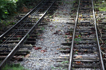 Abandoned railway tracks surrounded by nature with gravel and foliage