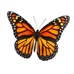 Fototapeta premium Vibrant Monarch Butterfly Fluttering in the Air Isolated on Transparent Background
