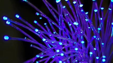 Dynamic blue fiber optic cables illuminate in stunning light display - Powered by Adobe