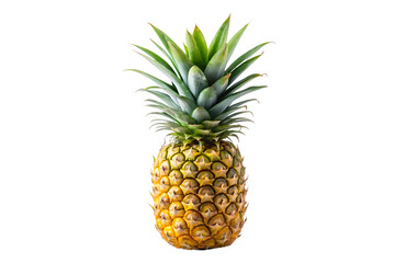 pineapple on transparent background
