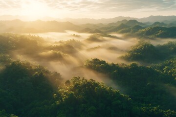 Fototapeta premium Morning Mist Over Lush Green Mountains with Golden Sunrays