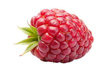 fresh raspberry isolated on transparent background