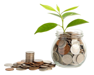 financial growth metaphor with fresh green plant growing from stack of coins in glass mason jar
