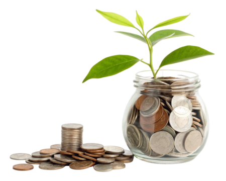 financial growth metaphor with fresh green plant growing from stack of coins in glass mason jar
