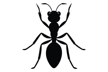 Ant Vector Silhouette Illustration 