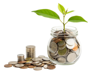 money plant seedling sprouting from savings coins in transparent jar representing wealth growth and financial planning concept
