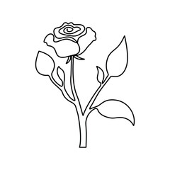 continuous single line Premium Minimalist Rose Vector art for your project