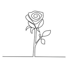 continuous single line Premium Minimalist Rose Vector art for your project