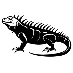 Fototapeta premium A vector silhouette of an iguana standing with spiked back visible, centered on a white background 