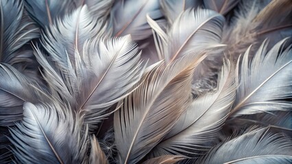 A Close-Up Study of Delicate Avian Feathers Displaying Intricate Textures and Subtle Color Variations
