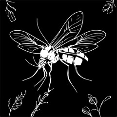 blood malaria mosquito illustration