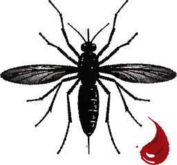 blood malaria mosquito illustration