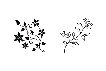 Floral Designs Black and White Flower and Leaf Illustrations