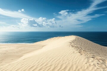 An expansive dune system leading towards a breathtaking ocean horizon.