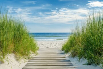 Fototapeta premium Beach grass framing a wooden boardwalk leading toward the sea.