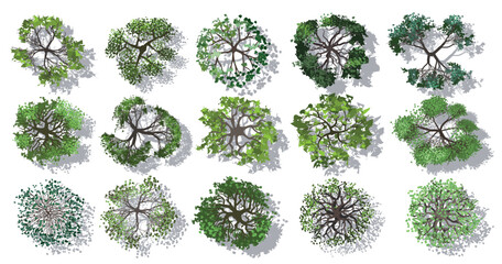 Top view of a set of isolated vector icons of green deciduous trees in a realistic manner with shadows on the white background. View from above. Aerial.