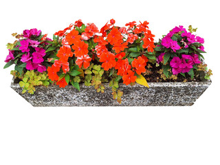 Pink and red impatiens flowers grow in a stone pot .