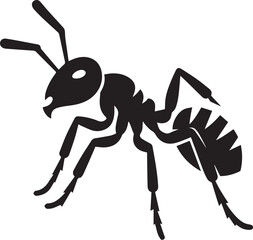 Ant black and white vector illustration