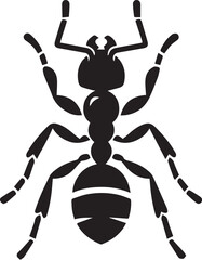 Ant black and white vector illustration