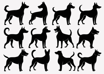 horse silhouettes collection