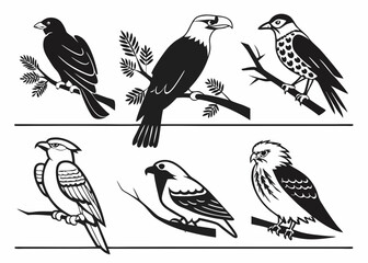 set of birds