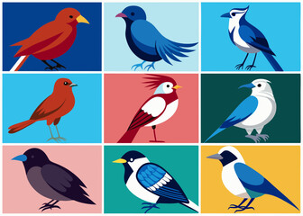 set of birds