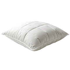 Soft floor pillow png cozy floor pillow png stylish floor pillow png comfortable floor pillow png inviting floor pillow png transparent background image