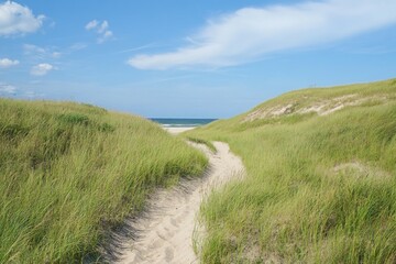 Fototapeta premium Towering dunes with a narrow sandy trail winding through lush beach grass.