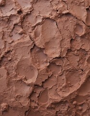 Fototapeta premium clay with cracks and rough texture. The color varies from light brown to reddish brown, creating an interesting natural pattern.