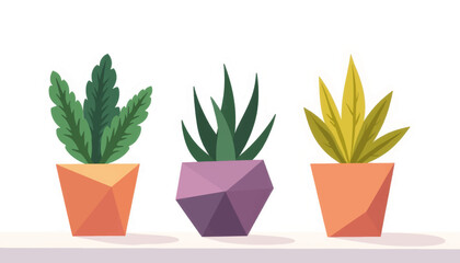 Obraz premium Colorful succulents arranged in geometric pots on windowsill, minimalism