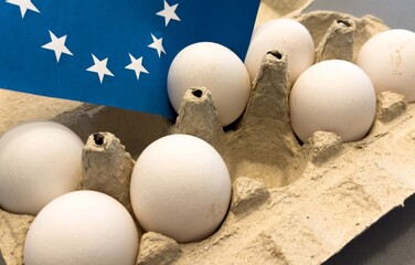  egg with european union flag