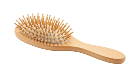 Isolated Wooden Hair Brush