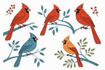 set of Cardinal silhouette vector illustration