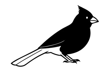 Cardinal silhouette vector illustration
