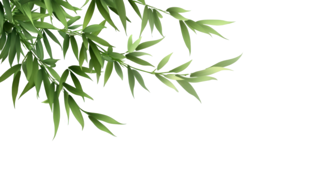 Whispers of Bamboo: Delicate bamboo leaves unfurl gracefully against a clean backdrop, evoking a sense of peace and natural elegance.