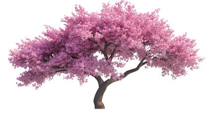 Blossom Tree's Peak: A vibrant, full-bloomed tree with pink blossoms. Capturing the vibrant beauty of nature, evoking feelings of renewal and springtime joy. 