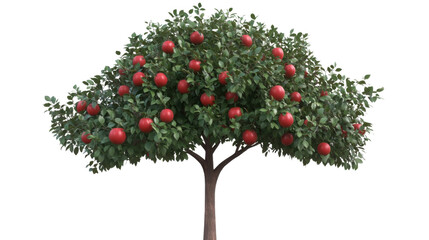 Fototapeta premium A Bountiful Orchard: A lush apple tree, laden with ripe, red fruit, stands as a symbol of nature's abundance, capturing the essence of harvest and the promise of deliciousness.