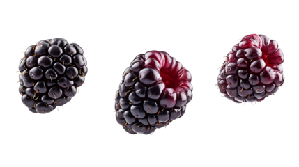 Boysenberry with half slice falling and floating png