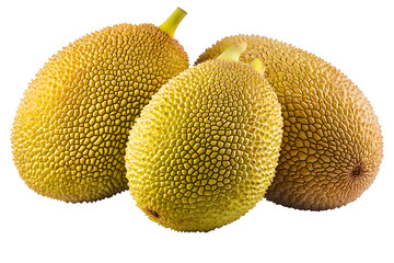 Ripe common jackfruit isolated on white background PNG