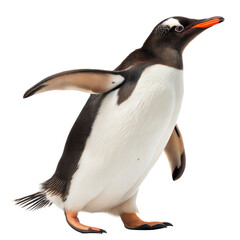 Obraz premium Gentoo Penguin AI Generated Image