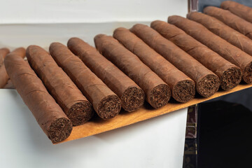 Cigars on a dark background. Product for sale.