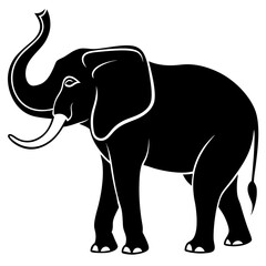 elephant vector illustration