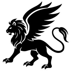 black and white horse