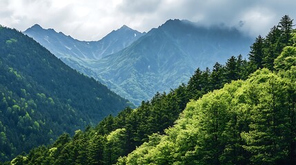 Obraz premium Scenic Mountain Range Landscape with Lush Green Forest on a Cloudy Day