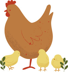 Hen and Baby Chickens Illustrations. Cute Yellow Chicks and Chicken.